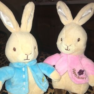 Peter Rabbit 🐇 pair of bunnies 🐰